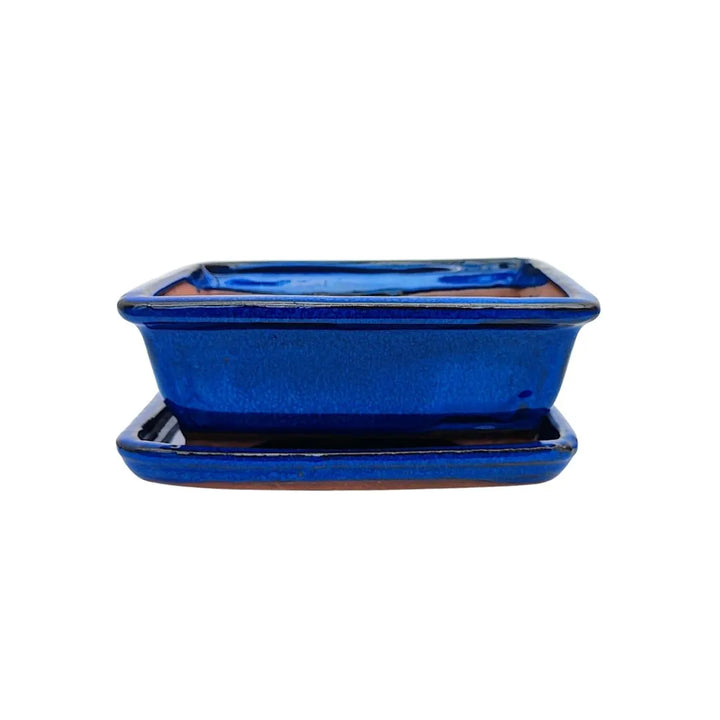 Vaso bonsai in ceramica smaltata blu, dimensione piccola, con sottovaso incluso