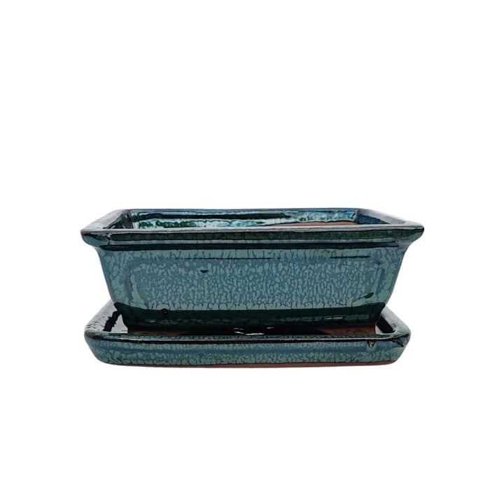 Vaso bonsai verde smaltato rettangolare di piccole dimensioni con sottovaso coordinato