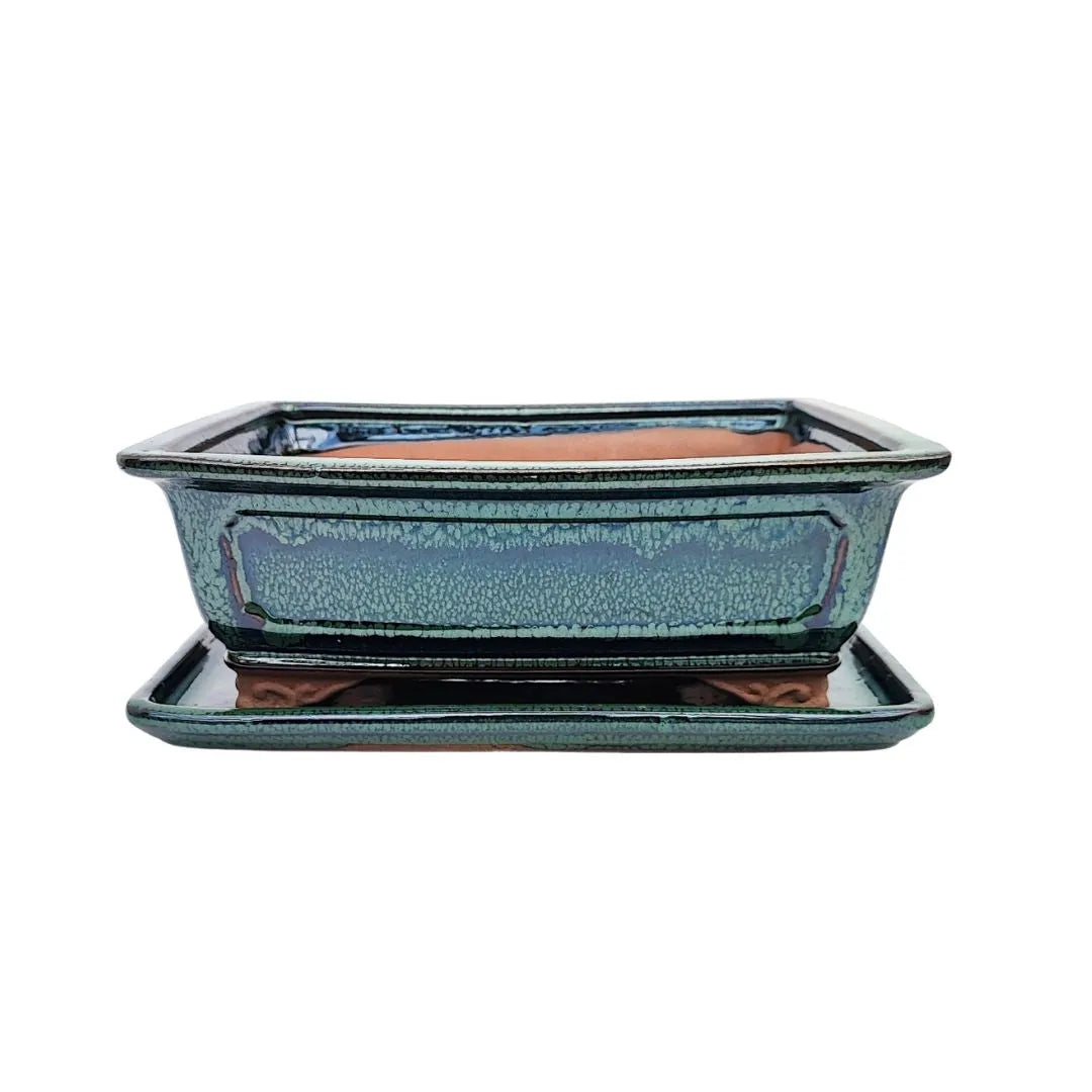  Vaso bonsai rettangolare verde bottiglia con finitura craquelé e sottovaso coordinato