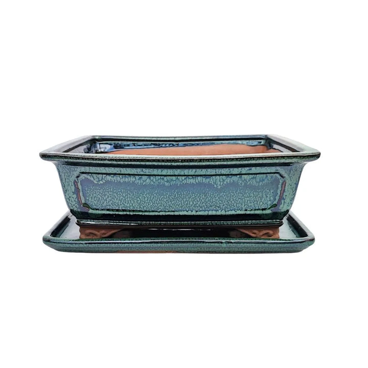  Vaso bonsai rettangolare verde bottiglia con finitura craquelé e sottovaso coordinato