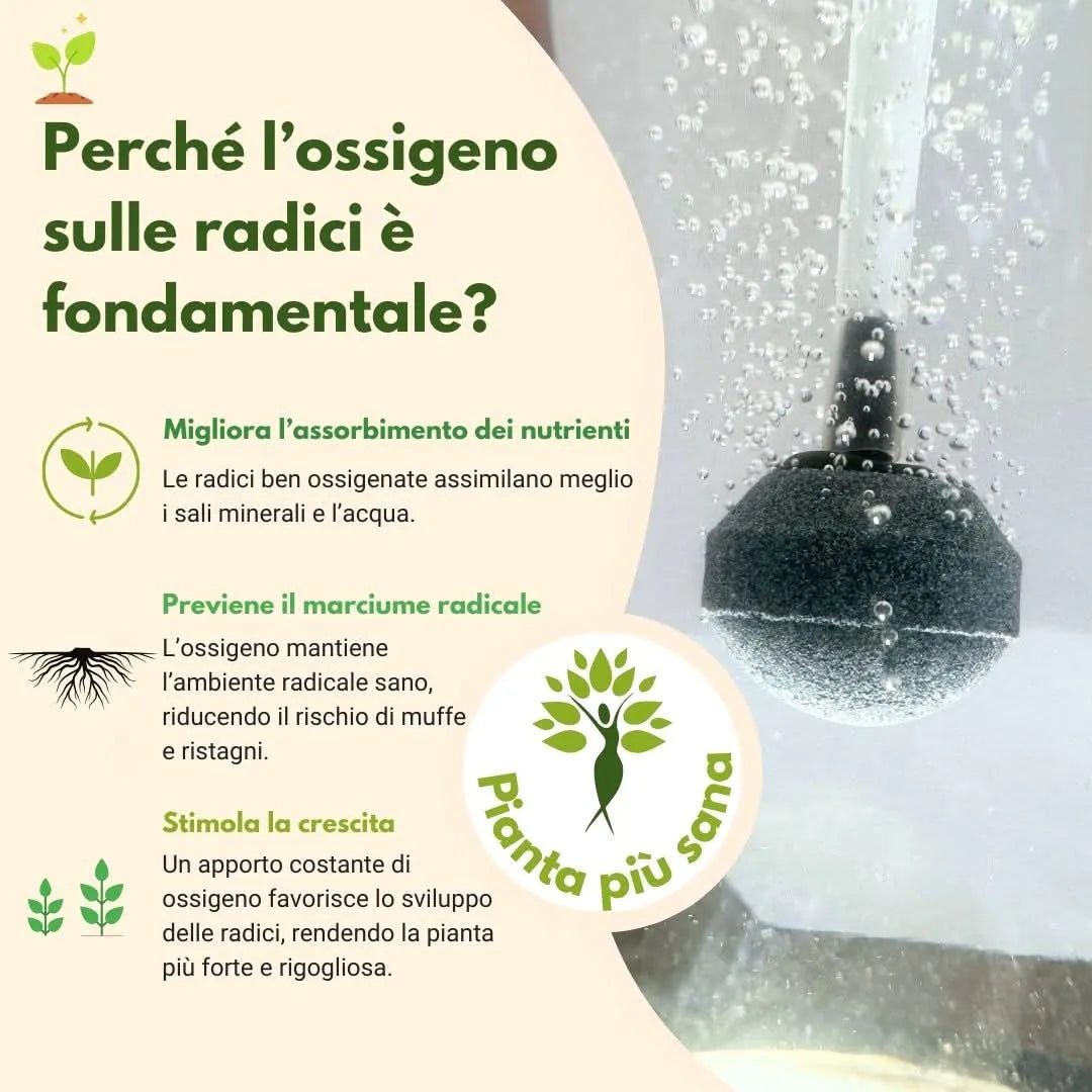 Grafica informativa sull’importanza dell’ossigenazione delle radici nelle piante in idrocultura, con diffusore a pietra porosa immerso in acqua e bollicine visibili. Testo descrittivo dei benefici: miglior assorbimento nutrienti, prevenzione marciume radicale, stimolo alla crescita.





