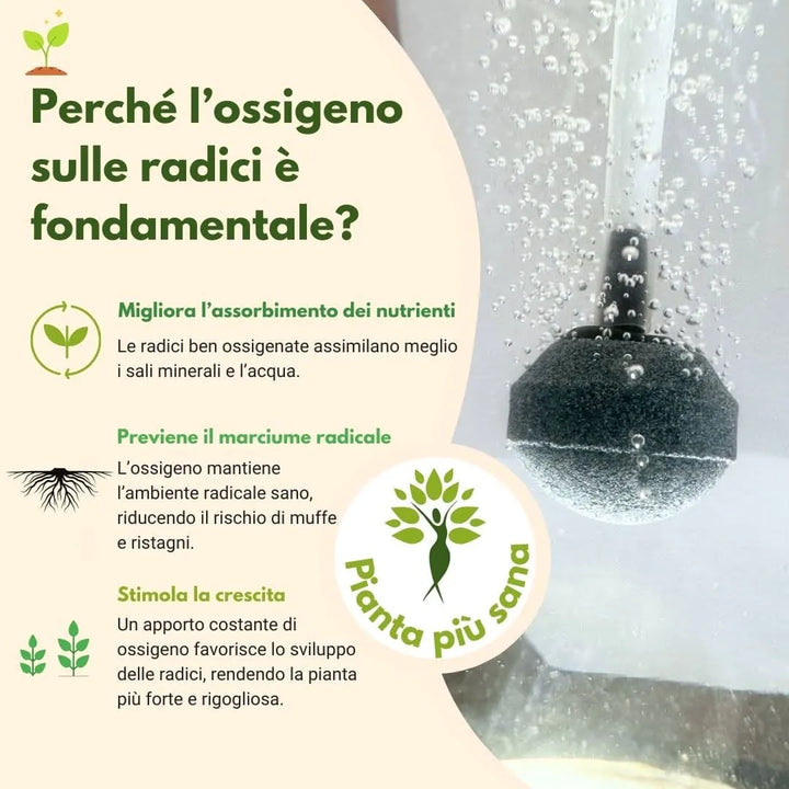 Grafica informativa sull’importanza dell’ossigenazione delle radici nelle piante in idrocultura, con diffusore a pietra porosa immerso in acqua e bollicine visibili. Testo descrittivo dei benefici: miglior assorbimento nutrienti, prevenzione marciume radicale, stimolo alla crescita.





