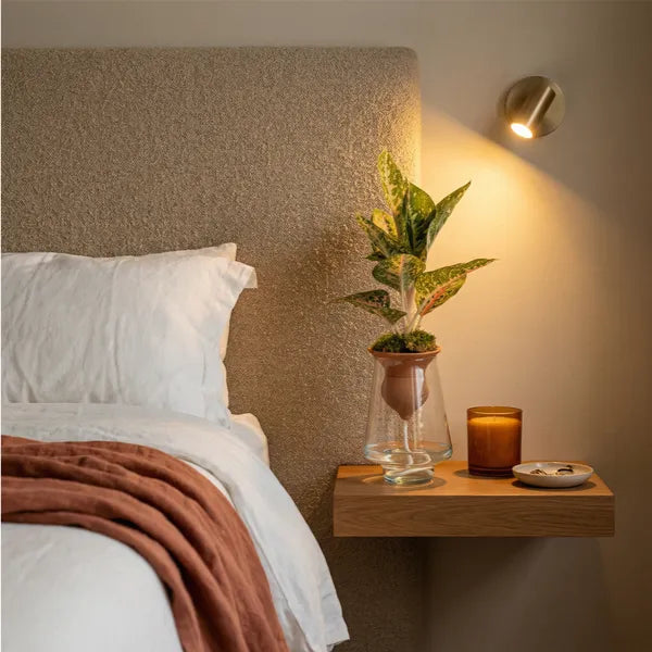 Aglaonema Mix in idrocoltura con cono terracotta su piano cucina marmo Carrara con luce mattutina