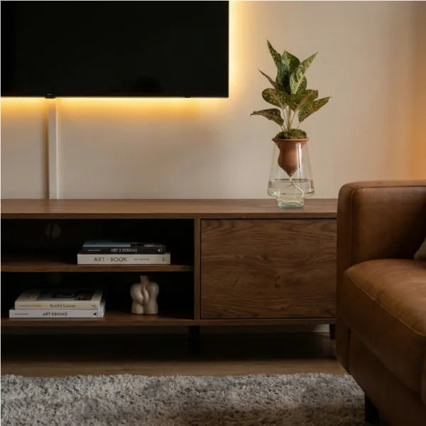 Aglaonema Mix in idrocoltura su mobile TV rovere in soggiorno moderno con retroilluminazione LED calda