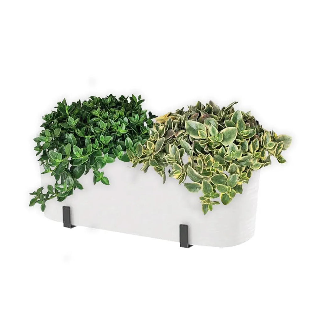 Fioriera Paros bianca con Aptenia – vista laterale