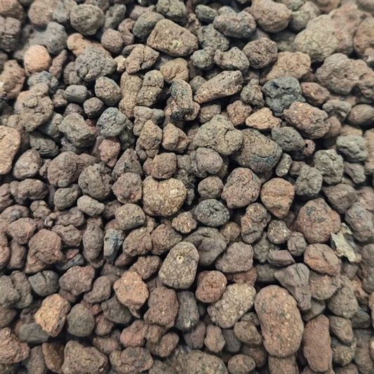 Argilla espansa naturale per terrarium, substrato drenante ideale per piante tropicali, succulente e composizioni verdi in vaso