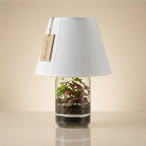Bomboniera green lamparium lampada terrarium con succulente