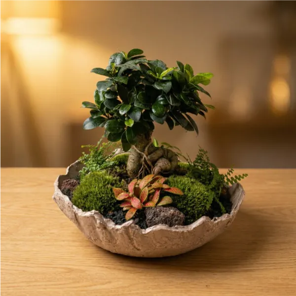 Geoterrarium con bonsai D.31