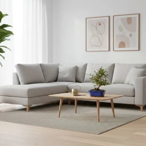 Bonsai Coprosma 7 anni - pianta a specchio in vaso blu su tavolino in soggiorno moderno