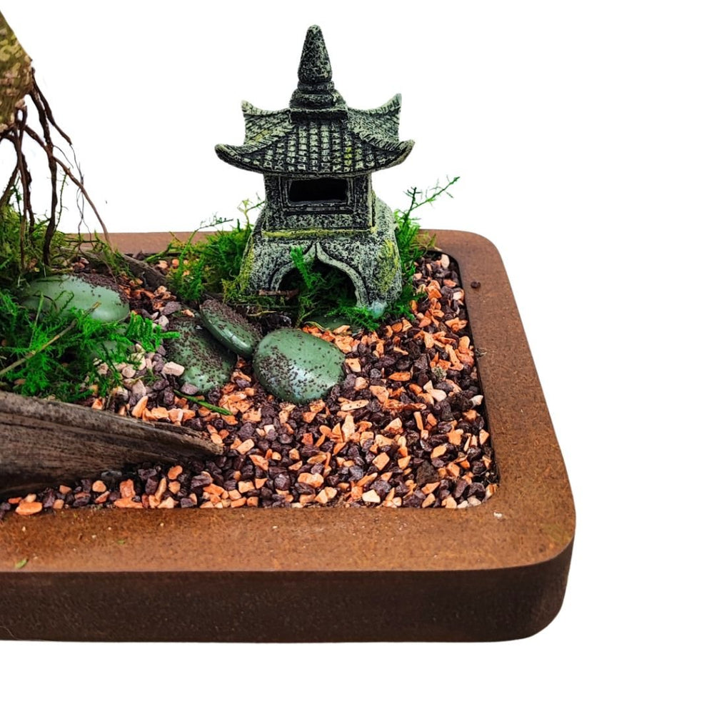 Bonsai Eden Base in legno 29x18 altezza totale 45 cm - i Giardini di Giulia