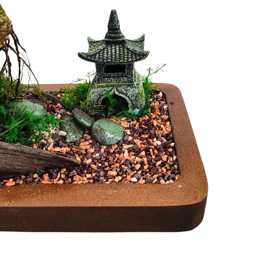 Dettaglio della composizione del Bonsai Eden con pagoda ornamentale, ciottoli verdi, corteccia decorativa e muschio, su base in legno 29x18 cm – I Giardini di Giulia