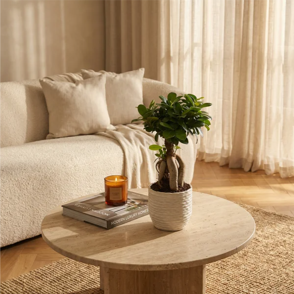 i Giardini di Giulia 