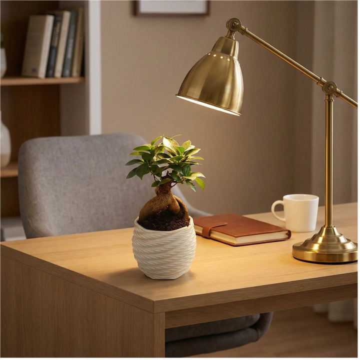Bonsai ficus ginseng su scrivania home office con lampada dorata e tazza di caffe