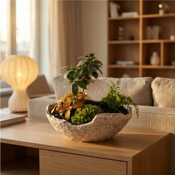 Geoterrarium con bonsai D.21