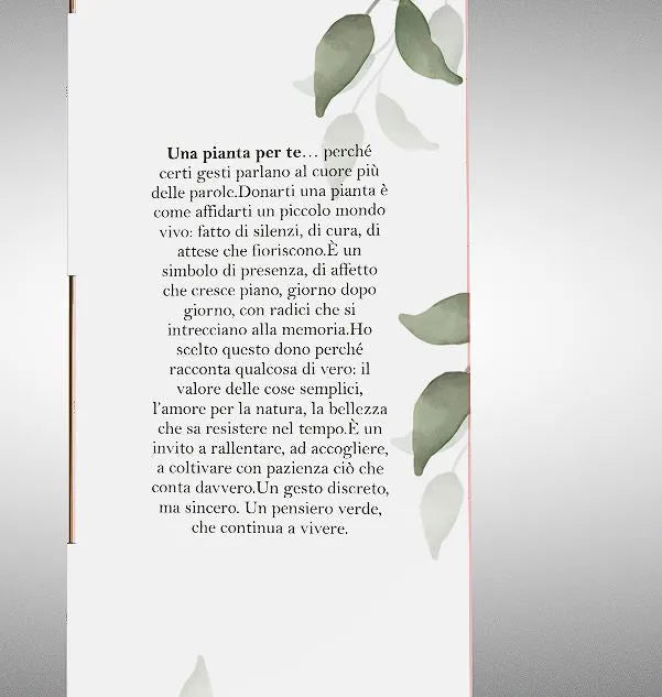 Scatola con Finestra | Packaging Rigido 38x 14 cm - i Giardini di Giulia  