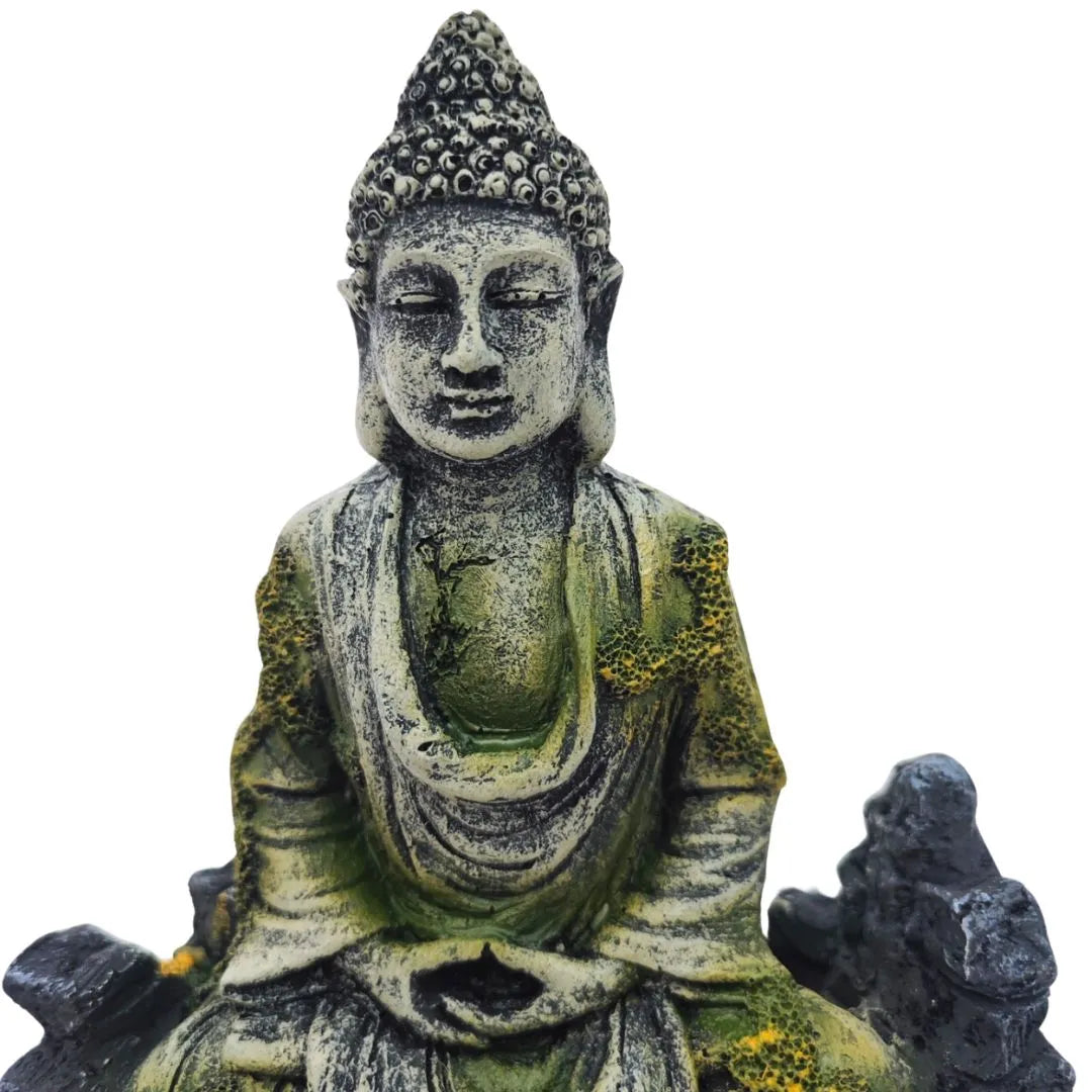 Dettaglio del volto del Buddha in resina, design orientale con texture effetto pietra e muschio verde, decorazione zen per composizion
