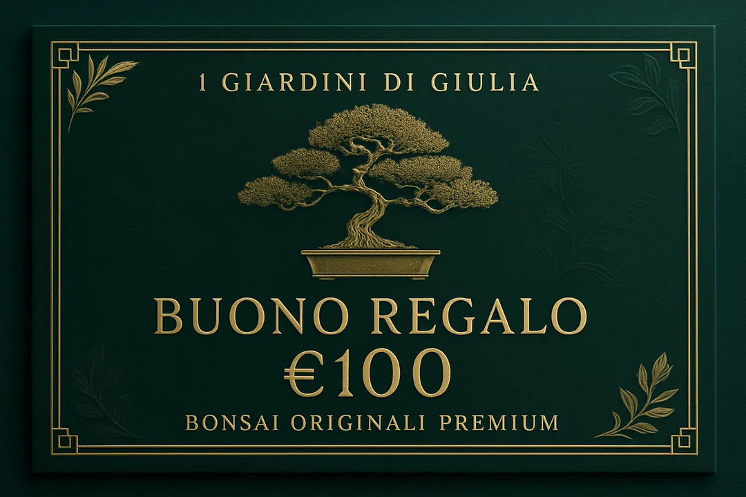 Buono Regalo Bonsai Originali Premium | Collezione Esclusiva I Giardini di Giulia - i Giardini di Giulia  