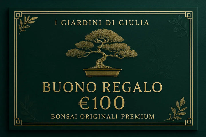 Buono Regalo Bonsai Originali Premium | Collezione Esclusiva I Giardini di Giulia - i Giardini di Giulia  