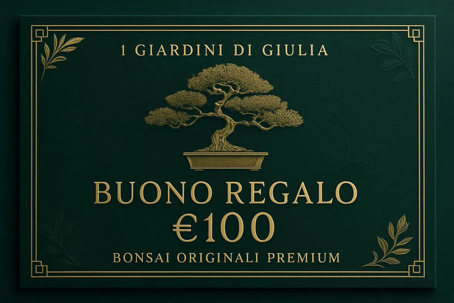 Buono Regalo Bonsai Originali Premium | Collezione Esclusiva I Giardini di Giulia - i Giardini di Giulia  