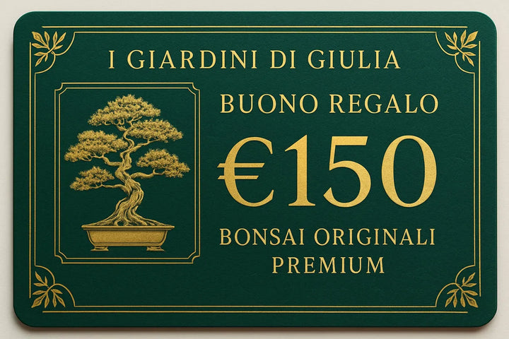 Buono Regalo Bonsai Originali Premium | Collezione Esclusiva I Giardini di Giulia - i Giardini di Giulia  