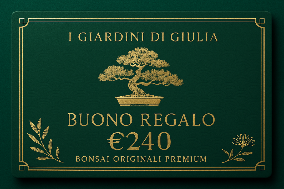 Buono Regalo Bonsai Originali Premium | Collezione Esclusiva I Giardini di Giulia - i Giardini di Giulia  