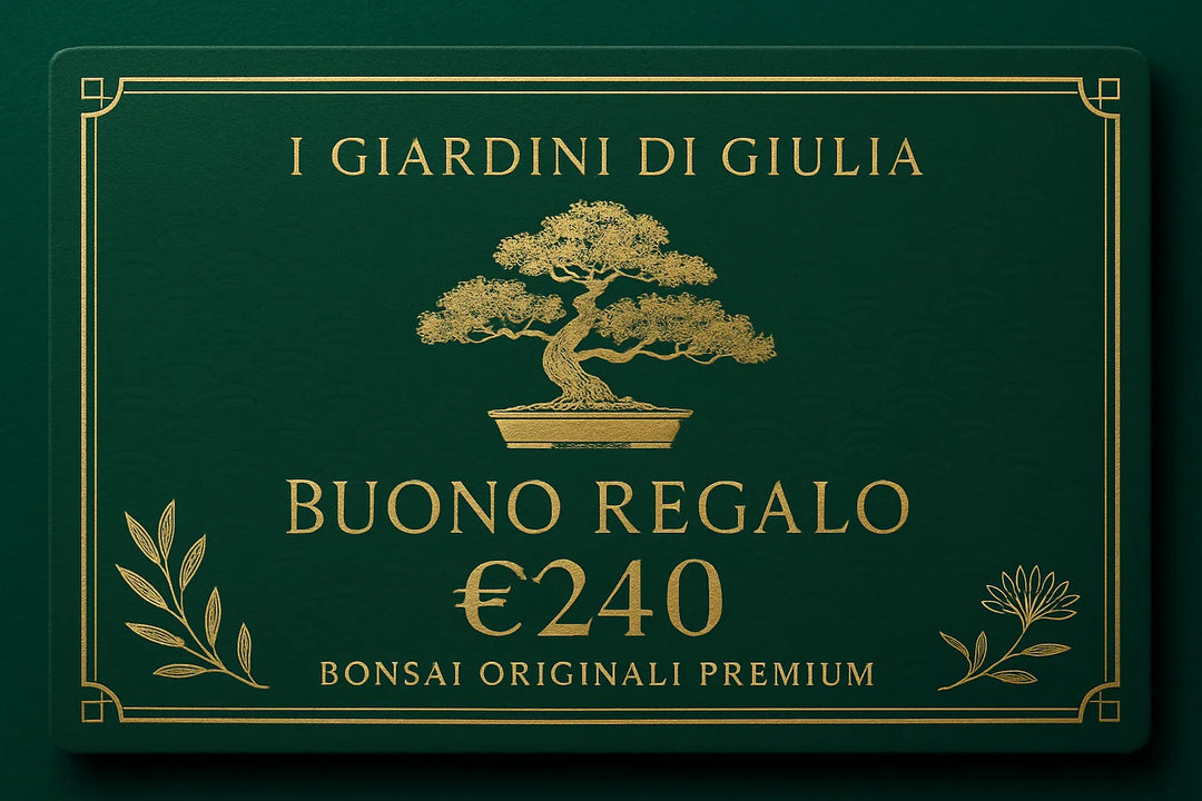 Buono Regalo Bonsai Originali Premium | Collezione Esclusiva I Giardini di Giulia - i Giardini di Giulia  