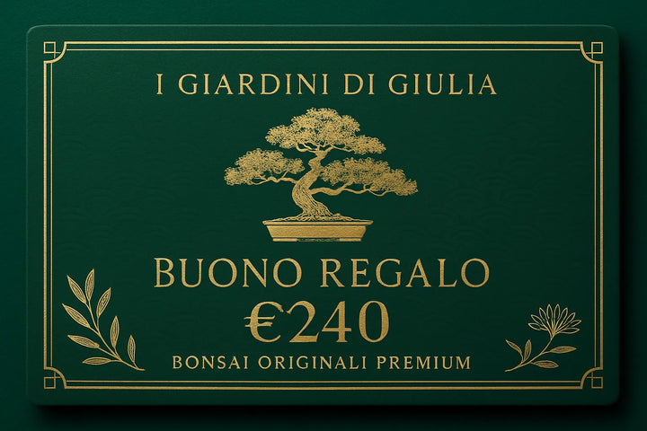 Buono Regalo Bonsai Originali Premium | Collezione Esclusiva I Giardini di Giulia - i Giardini di Giulia  