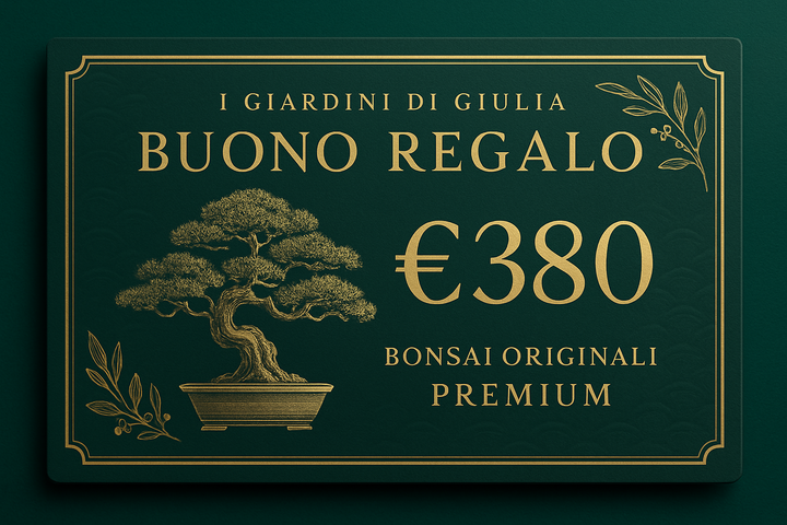 Buono Regalo Bonsai Originali Premium | Collezione Esclusiva I Giardini di Giulia - i Giardini di Giulia  