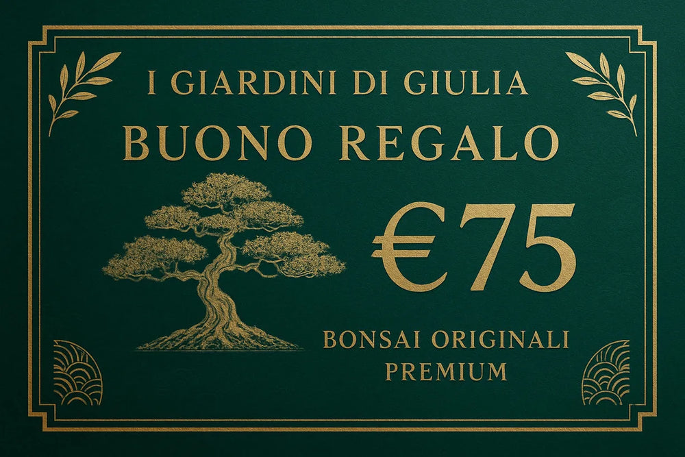 Buono Regalo Bonsai Originali Premium | Collezione Esclusiva I Giardini di Giulia - i Giardini di Giulia  