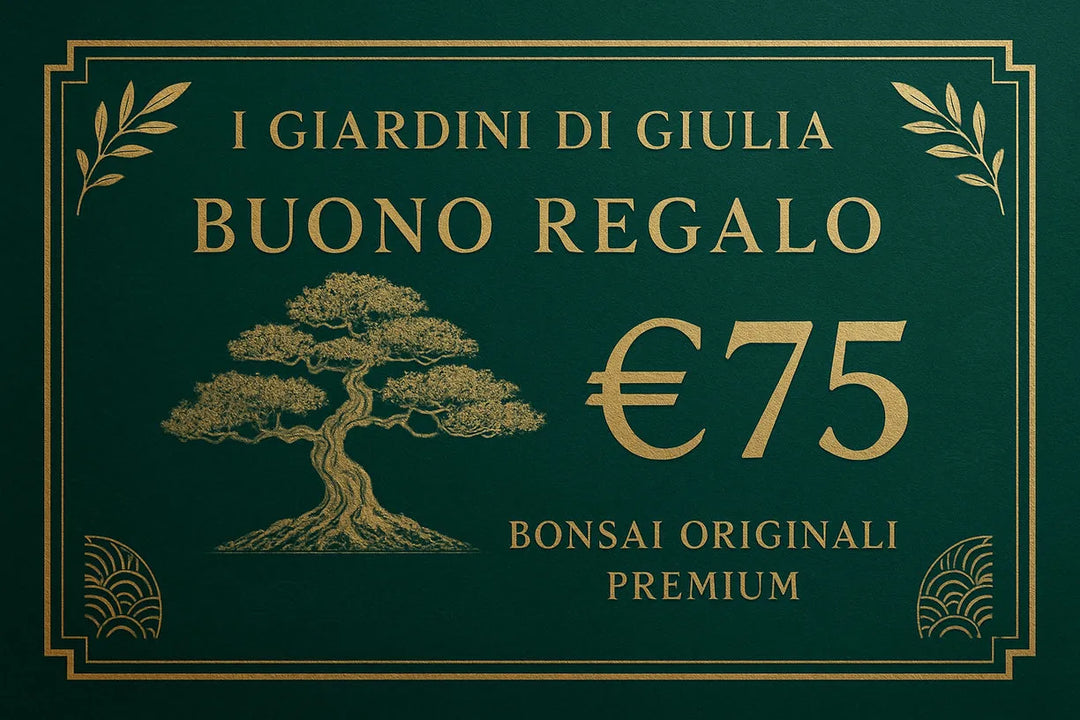 Buono Regalo Bonsai Originali Premium | Collezione Esclusiva I Giardini di Giulia - i Giardini di Giulia  