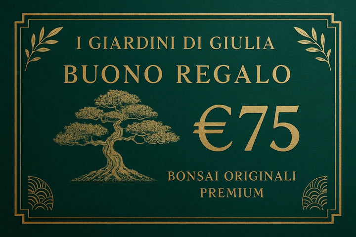 Buono Regalo Bonsai Originali Premium | Collezione Esclusiva I Giardini di Giulia - i Giardini di Giulia  