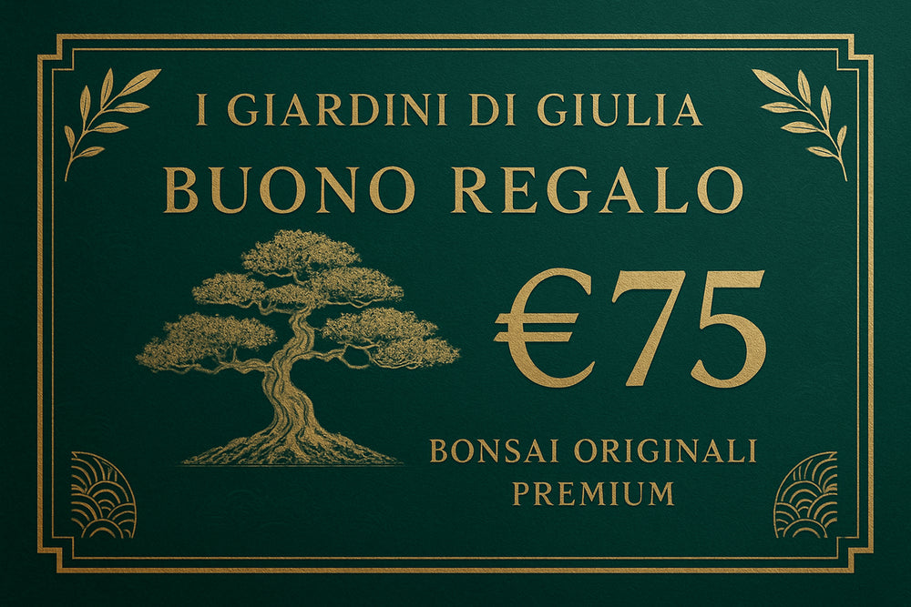 Buono Regalo Bonsai Originali Premium | Collezione Esclusiva I Giardini di Giulia - i Giardini di Giulia  