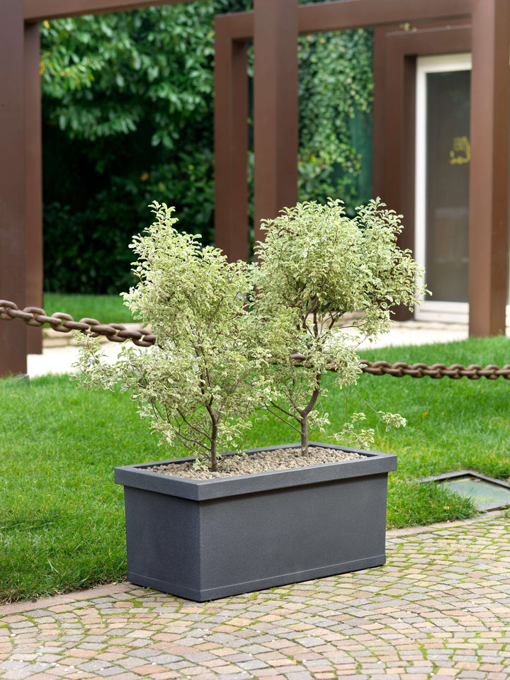 Cassetta Liscia - i Giardini di Giulia