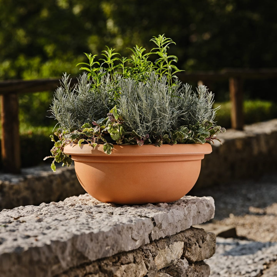 Ciotola terracotta con piante aromatiche e verdi in esterno