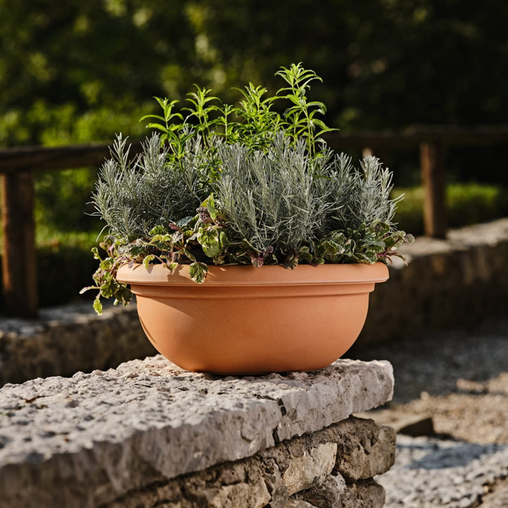 Ciotola terracotta con piante aromatiche e verdi in esterno