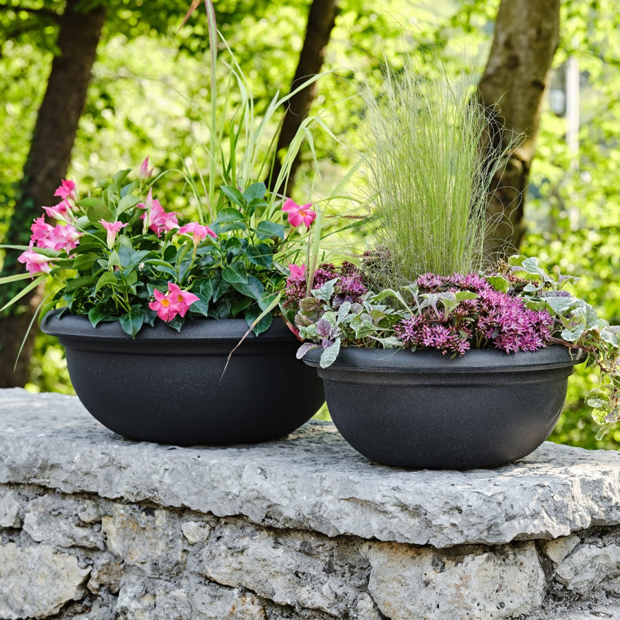 Ciotole nere con fiori rosa e piante verdi su muretto in pietra
