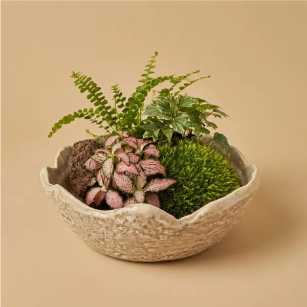 Terrarium con cupola di vetro Medio