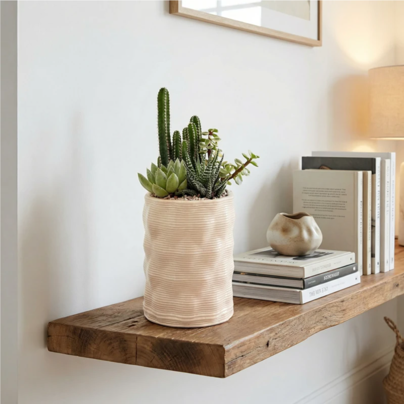 Composizione DesertiKa Andromeda Ø10 cm con cactus e succulente in vaso decorativo color crema su mensola in legno, pianta ornamentale per soggiorno moderno.