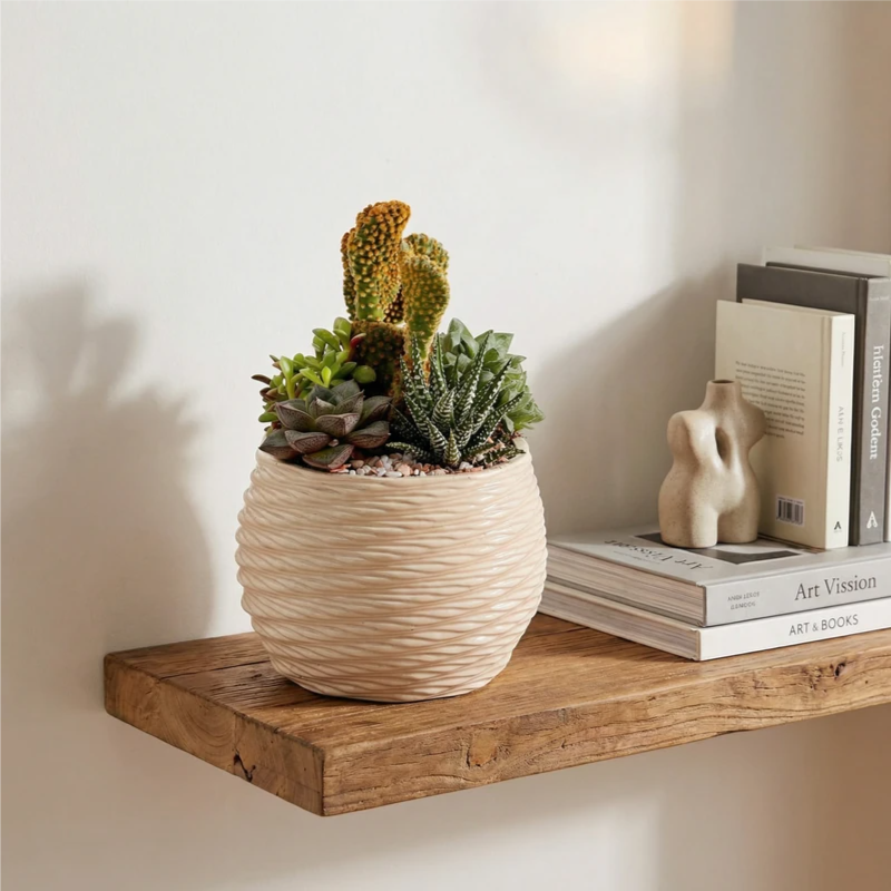 Composizione di piante grasse e cactus in vaso decorativo crema su mensola in legno con libri, pianta ornamentale perfetta per arredare il soggiorno.