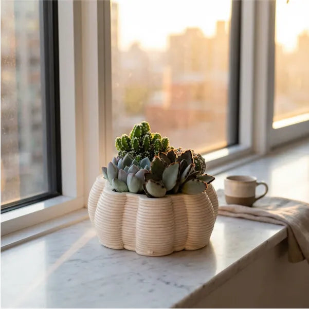 Composizione di piante grasse e cactus in vaso Itis in ceramica artigianale su davanzale in marmo con luce calda del tramonto, decorazione per interni luminosi.