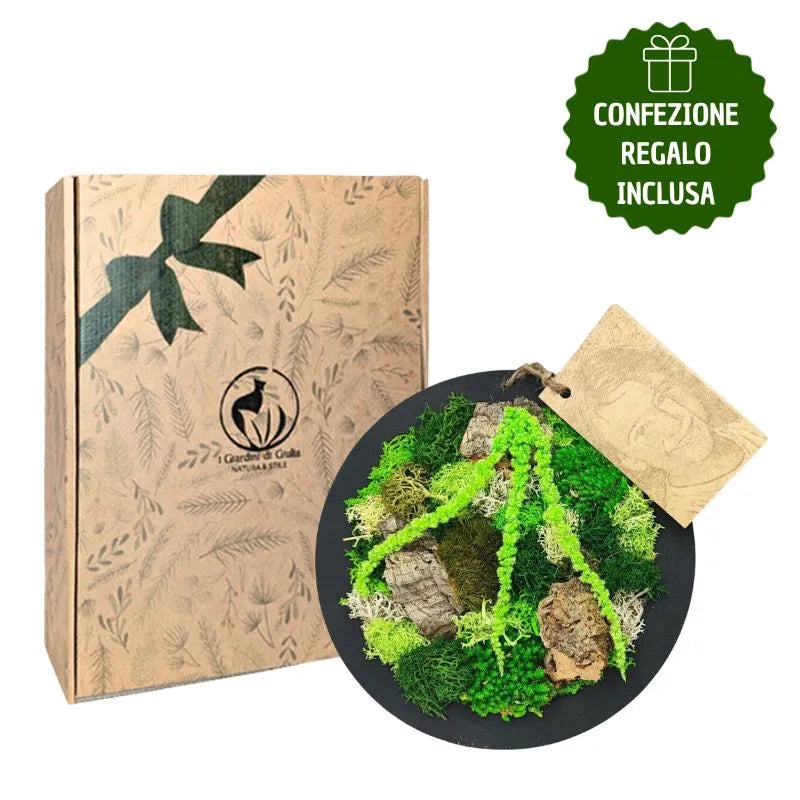 Quadro tondo mini di muschi e licheni stabilizzato con scatola regalo