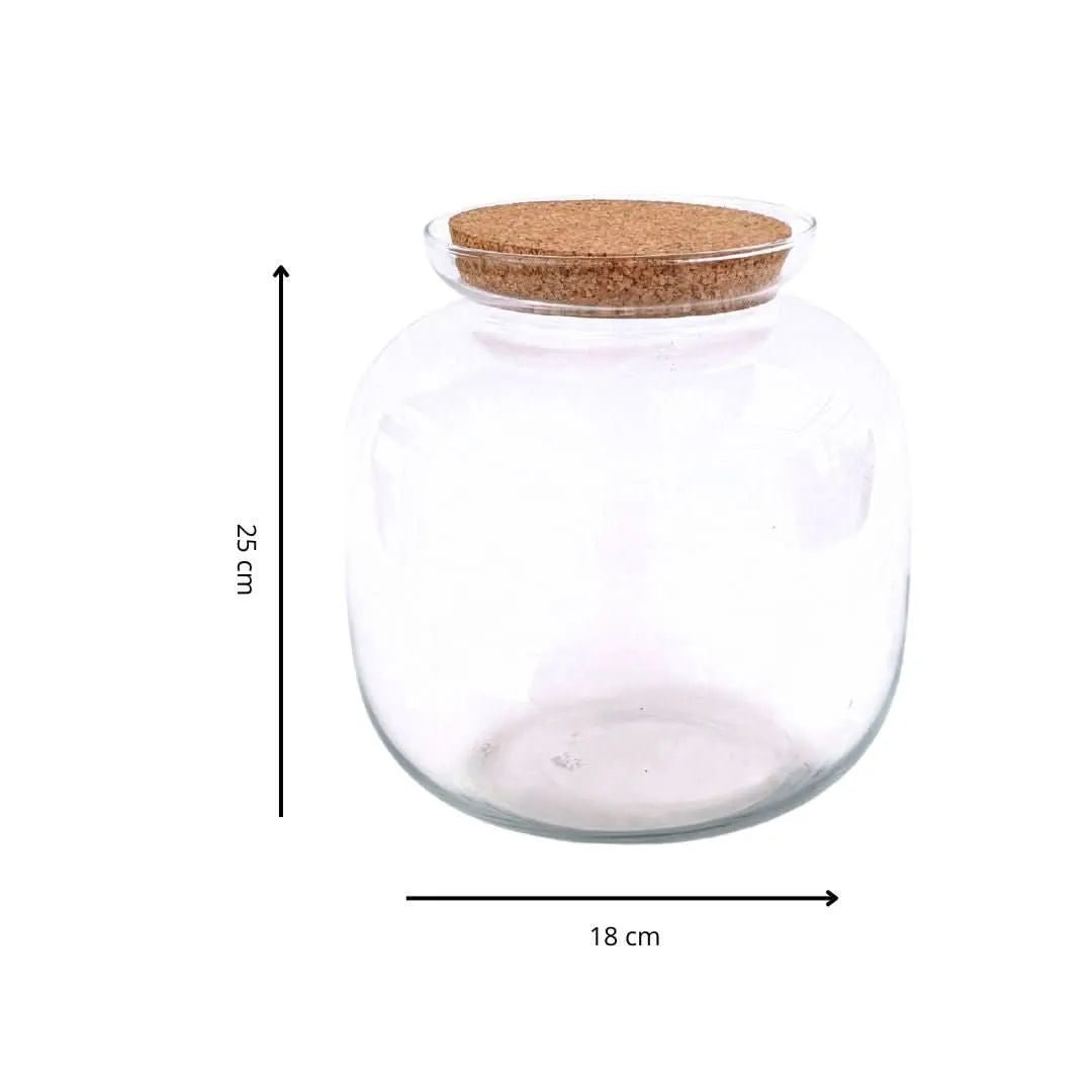 Contenitore Grande in Vetro Soffiato per Terrarium - i Giardini di Giulia