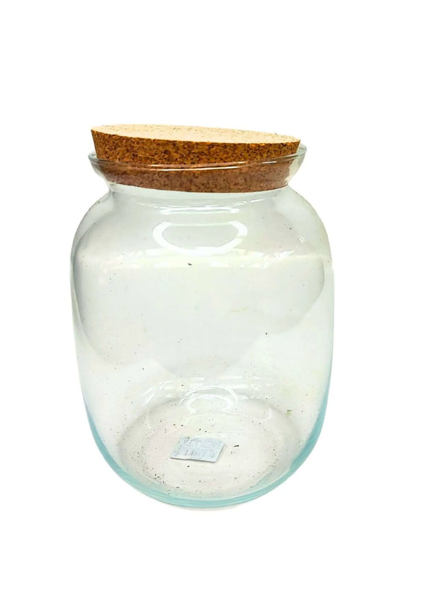 Contenitore Medio in Vetro Soffiato per Terrarium