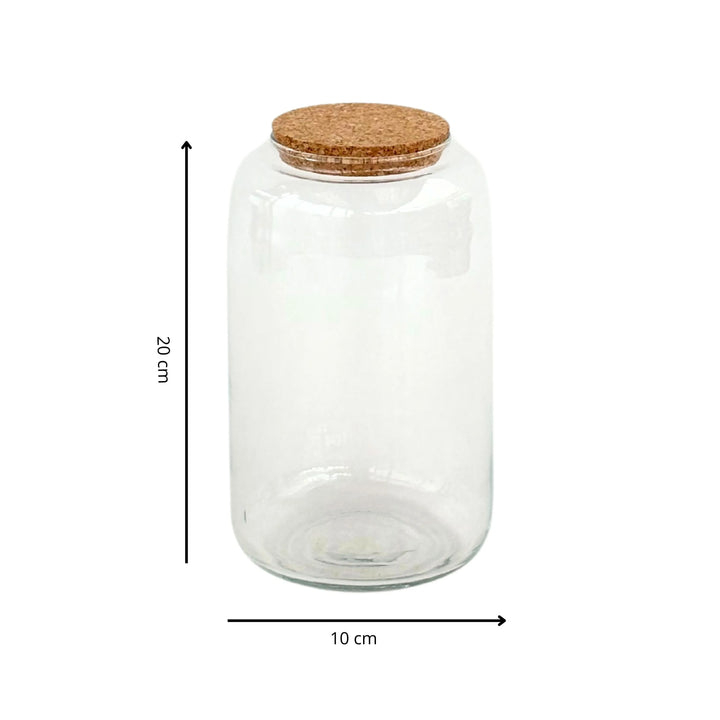 Contenitore Piccolo in Vetro Soffiato per Terrarium - i Giardini di Giulia