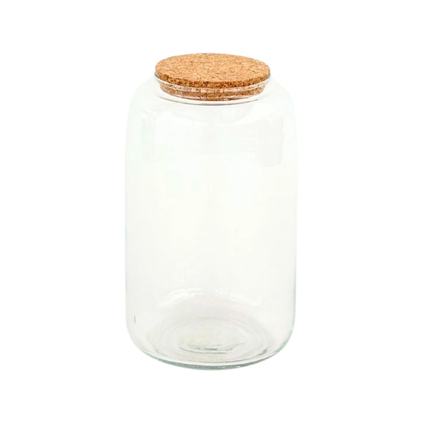 Contenitore Piccolo in Vetro Soffiato per Terrarium