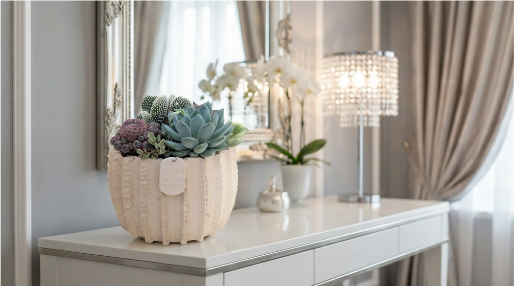 Le Muse di Giulia Dafne Bassa composizione succulente vere in ceramica per interni di lusso