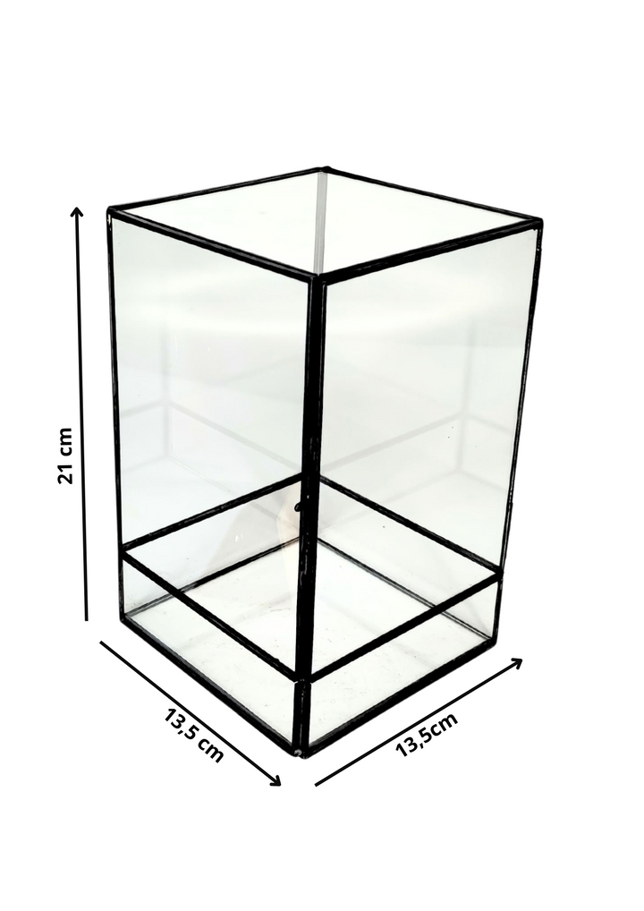 L'immagine mostra un terrario in vetro rettangolare con le dimensioni indicate: 21 cm di altezza e una base di 13,5 x 13,5 cm. Questo design semplice e moderno è perfetto per creare piccole composizioni di piante o muschi.