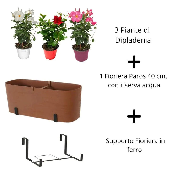Set Dipladenia con fioriera e supporto in ferro