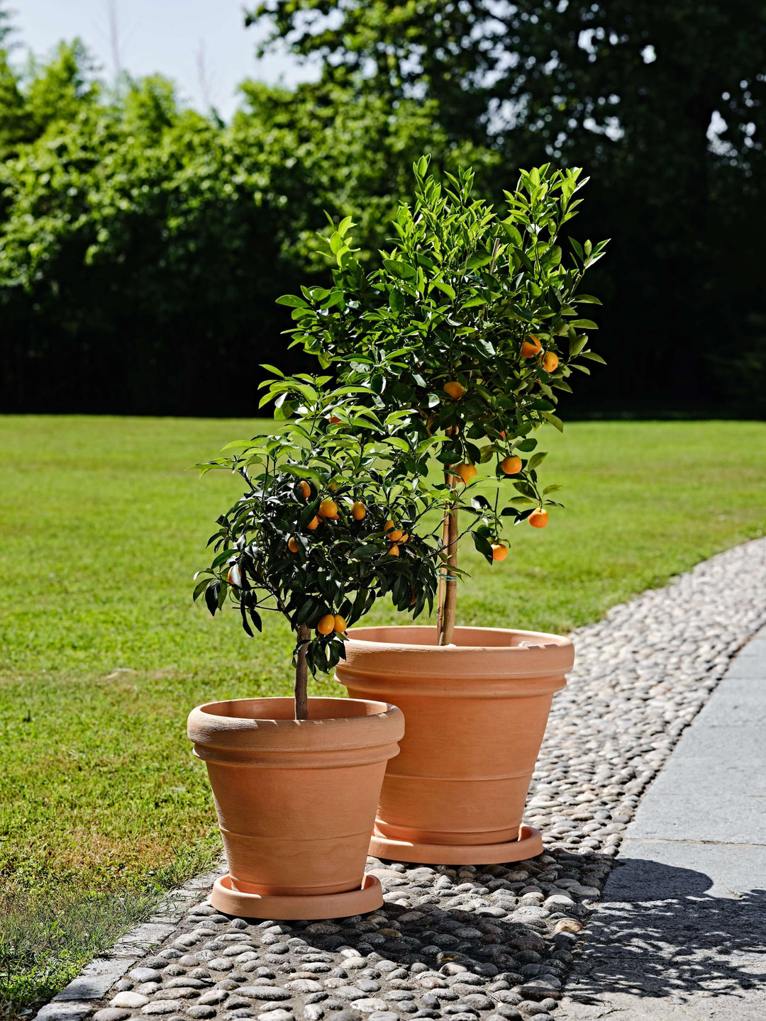 Doppio Bordo Anticato - i Giardini di Giulia