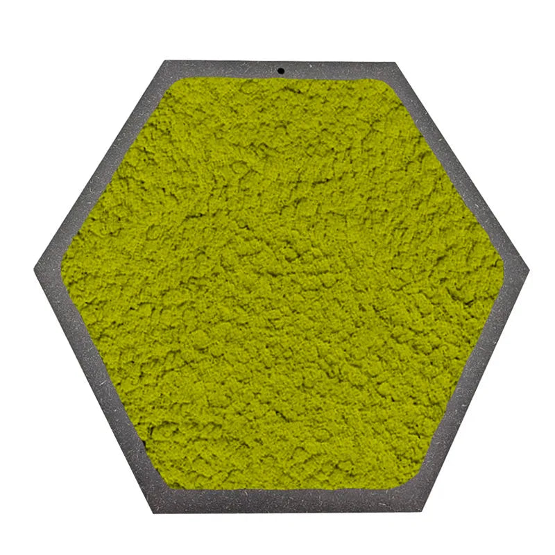 Quadro esagonale di Licheni Stabilizzati cornice Nera